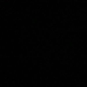 Meet your Posher, Donetta